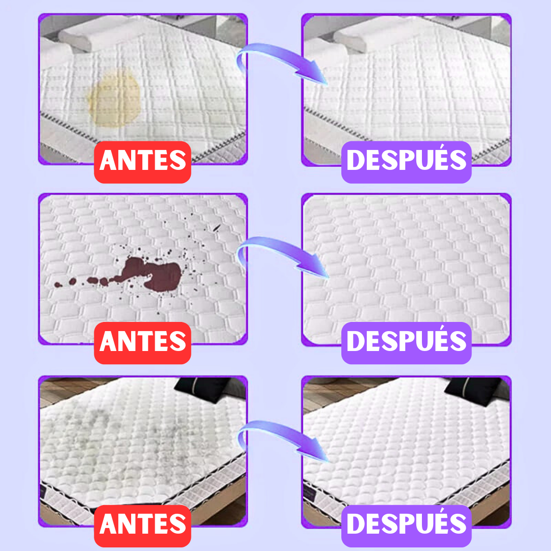 🧼BEDCLEAN® Crema limpia colchones x 300ml